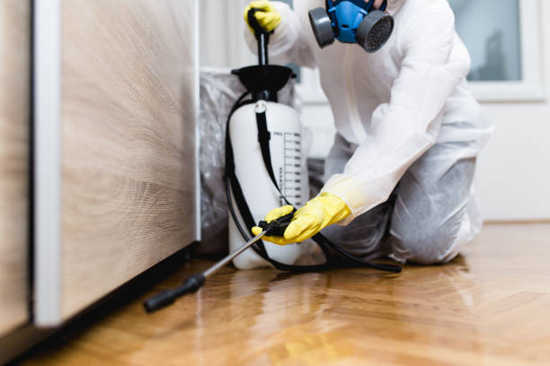 Best Pest Control for Homes  in Dodgeville, WI