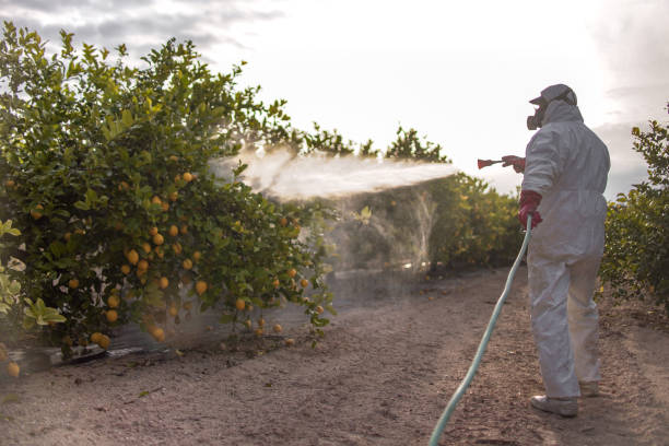 Best Local Pest Control Services  in Dodgeville, WI