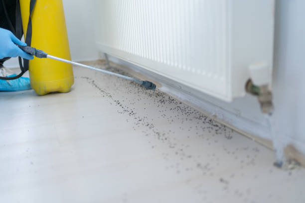 Best Affordable Pest Control Services  in Dodgeville, WI